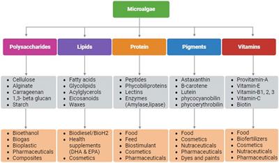 CRISPR-based bioengineering in microalgae for production of industrially important biomolecules